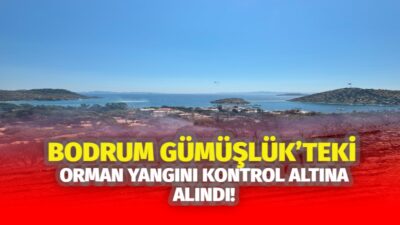Muğla’nın Bodrum ilçesine bağlı Gümüşlük Mahallesi'nde ormanlık ve otluk alanda