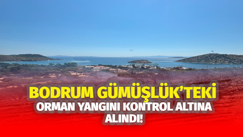 Muğla’nın Bodrum ilçesine bağlı Gümüşlük Mahallesi'nde ormanlık ve otluk alanda