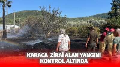 Marmaris ilçesine bağlı Karaca Mahallesi’nde bugün öğleden sonra çıkan zirai