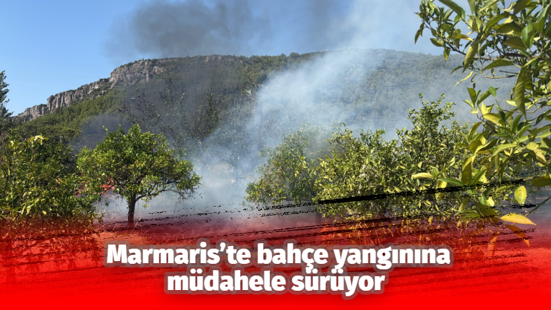 


Muğla’nın Marmaris ilçesine bağlı Karaca Mahallesi’nde çıkan bahçe yangınına orman