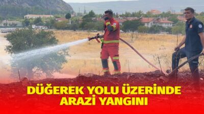 Muğla’nın Menteşe ilçesi Orhaniye Mahallesi Düğerek yolu üzerindeki bir arazide,