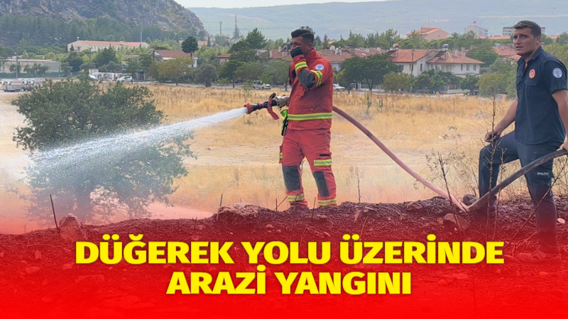 Muğla’nın Menteşe ilçesi Orhaniye Mahallesi Düğerek yolu üzerindeki bir arazide,