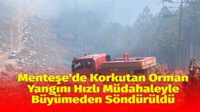 Muğla'nın Menteşe ilçesine bağlı Yılanlı mevkiindeki ormanlık alanda henüz belirlenemeyen
