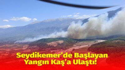 Muğla’nın Seydikemer ilçesinde ziraat arazisinde başlayan yangın, kuvvetli rüzgarın etkisiyle