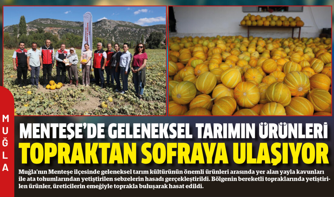 Muğla’nın Menteşe ilçesinde geleneksel tarım kültürünün önemli ürünleri arasında yer