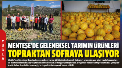Muğla’nın Menteşe ilçesinde geleneksel tarım kültürünün önemli ürünleri arasında yer