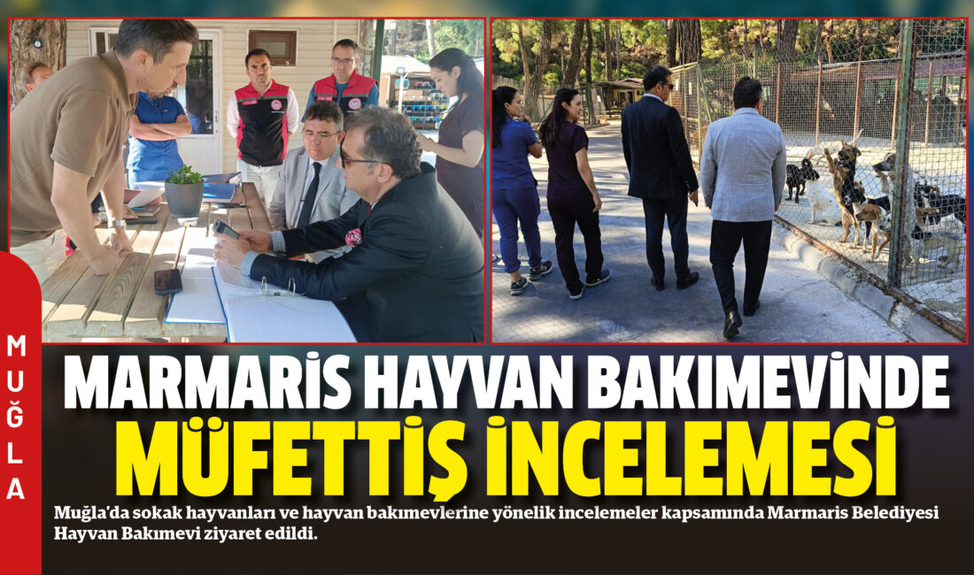 Muğla’da sokak hayvanları ve hayvan bakımevlerine yönelik incelemeler kapsamında Marmaris