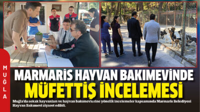 Muğla’da sokak hayvanları ve hayvan bakımevlerine yönelik incelemeler kapsamında Marmaris