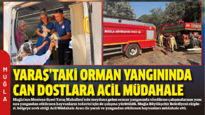 Muğla’nın Menteşe ilçesi Yaraş Mahallesi’nde meydana gelen orman yangınında söndürme