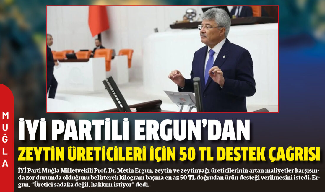 İYİ Parti Muğla Milletvekili Prof. Dr. Metin Ergun, zeytin ve