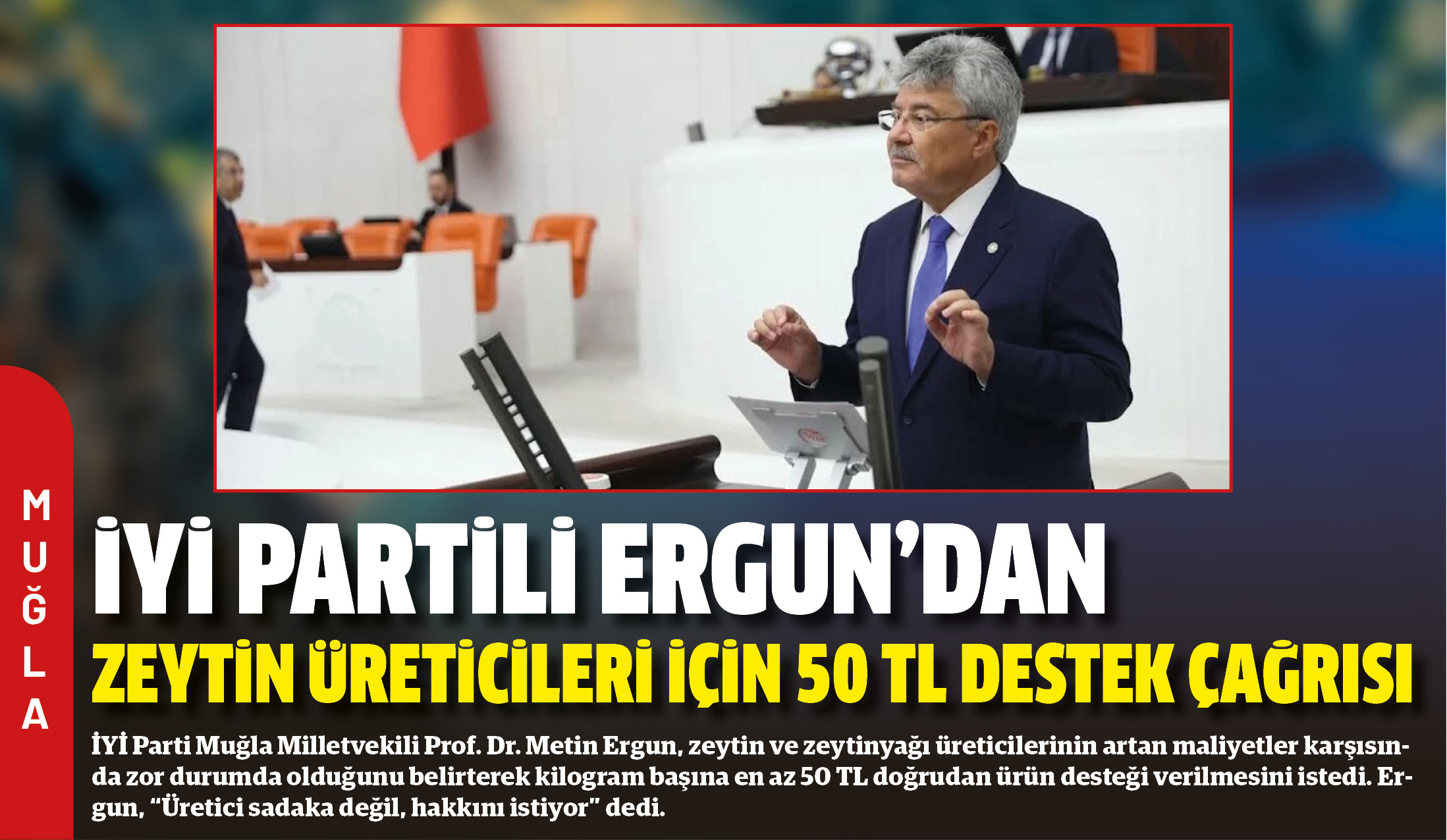 İYİ Parti Muğla Milletvekili Prof. Dr. Metin Ergun, zeytin ve