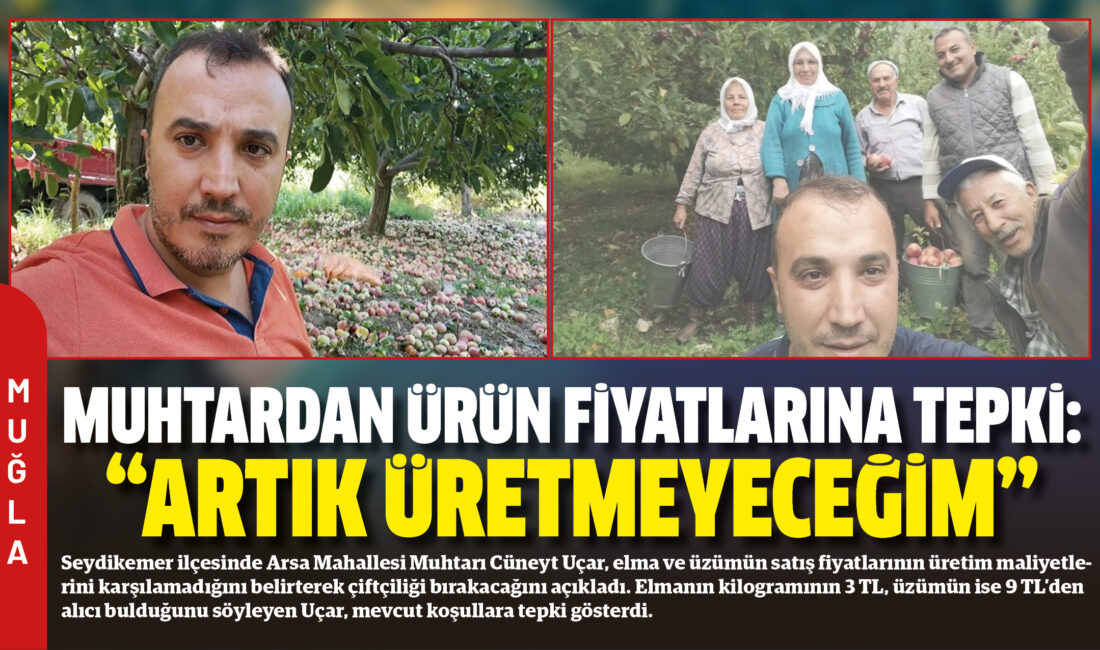 Seydikemer ilçesinde Arsa Mahallesi Muhtarı Cüneyt Uçar, elma ve üzümün